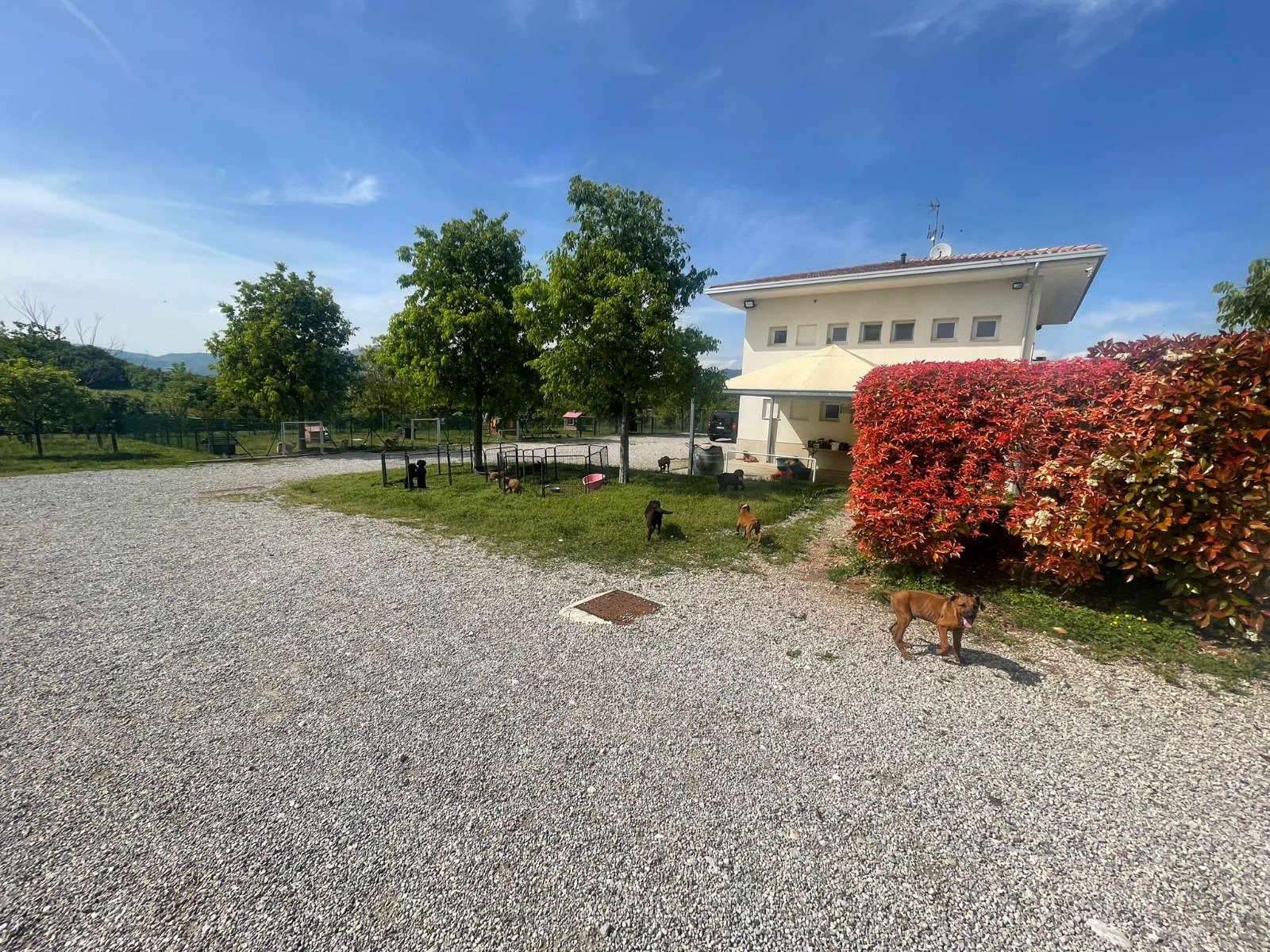 La sede di Fregona, Treviso