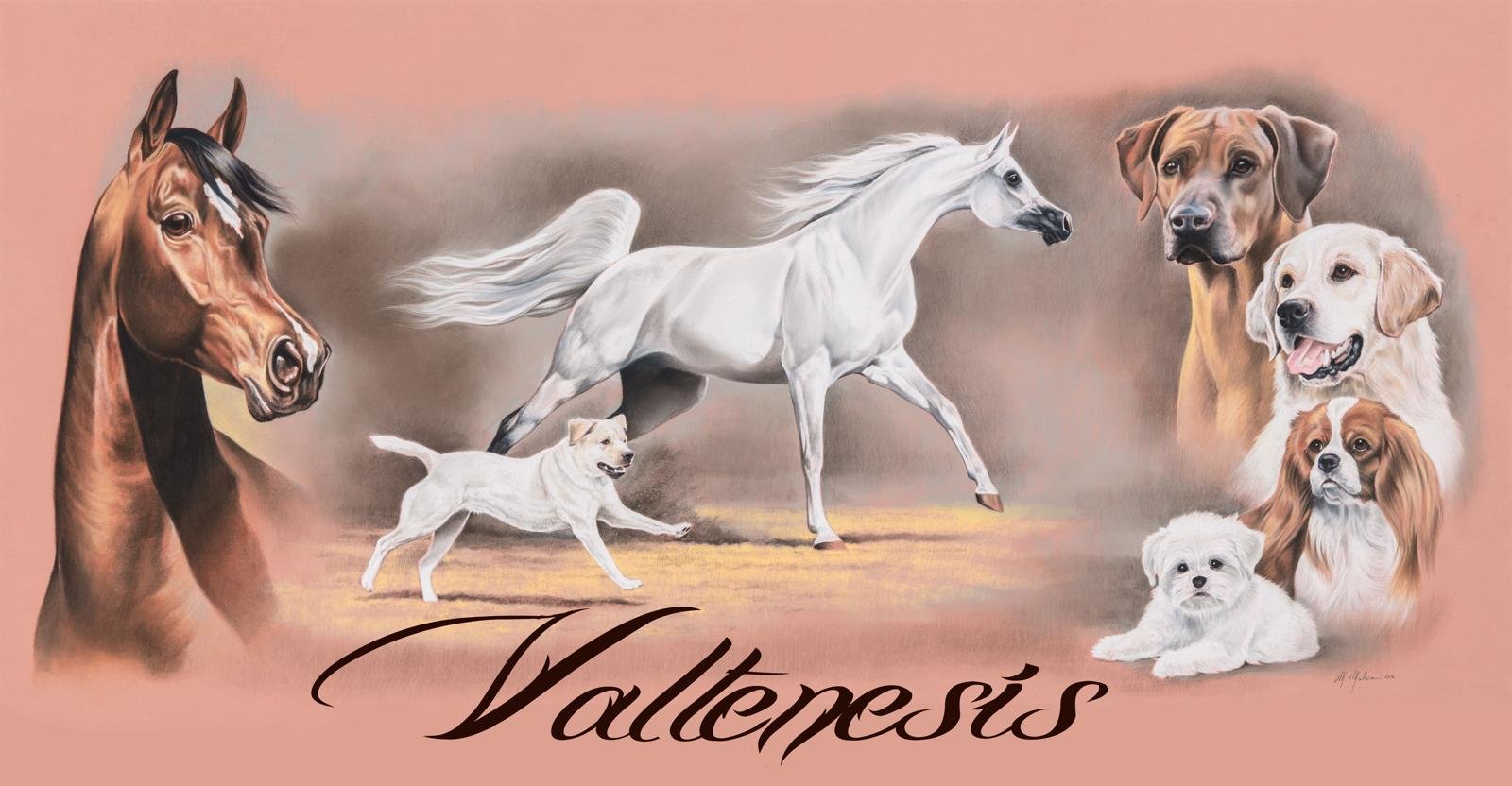 Illustrazione ufficiale Allevamento Valtenesi, dal 1989